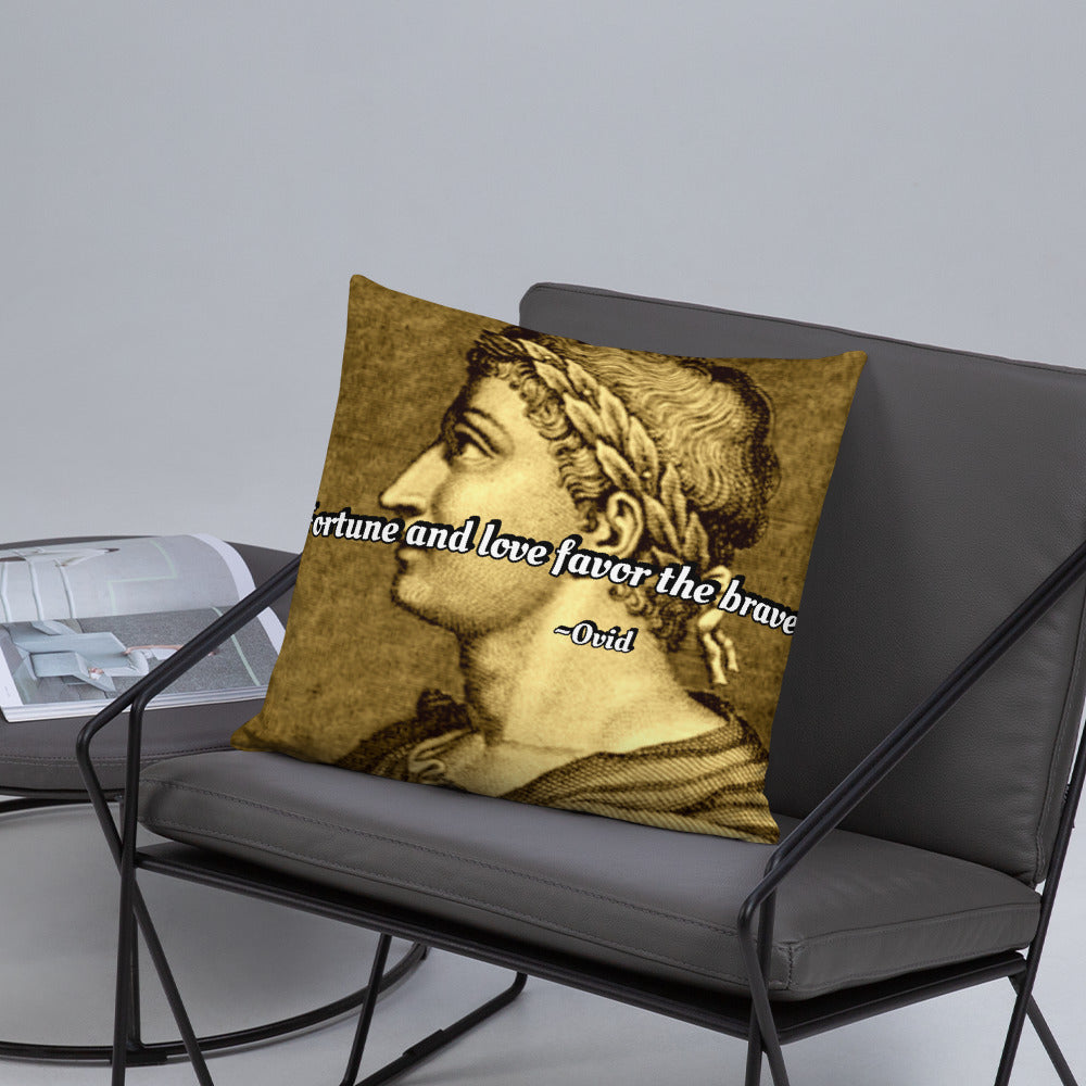 Inspirational Pillow