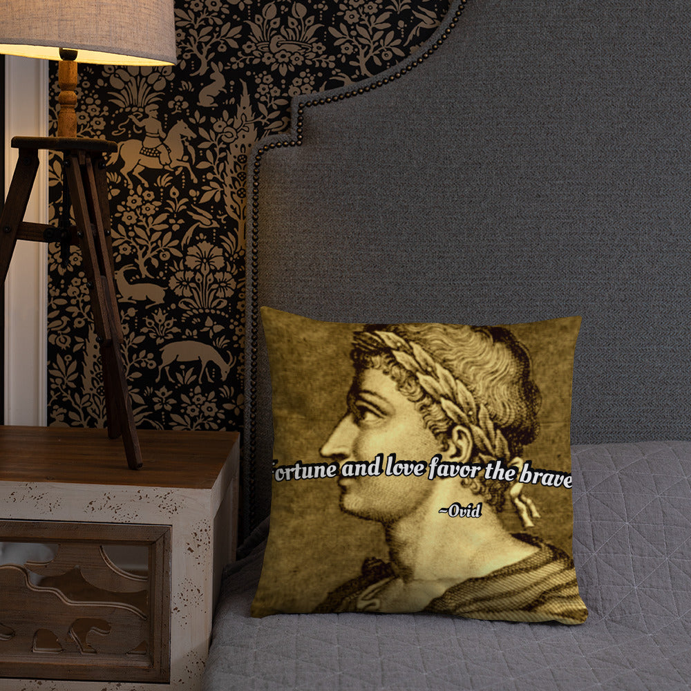 Inspirational Pillow