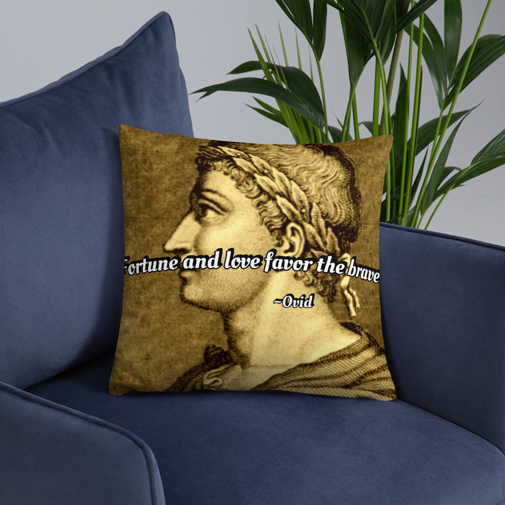 Inspirational Pillow