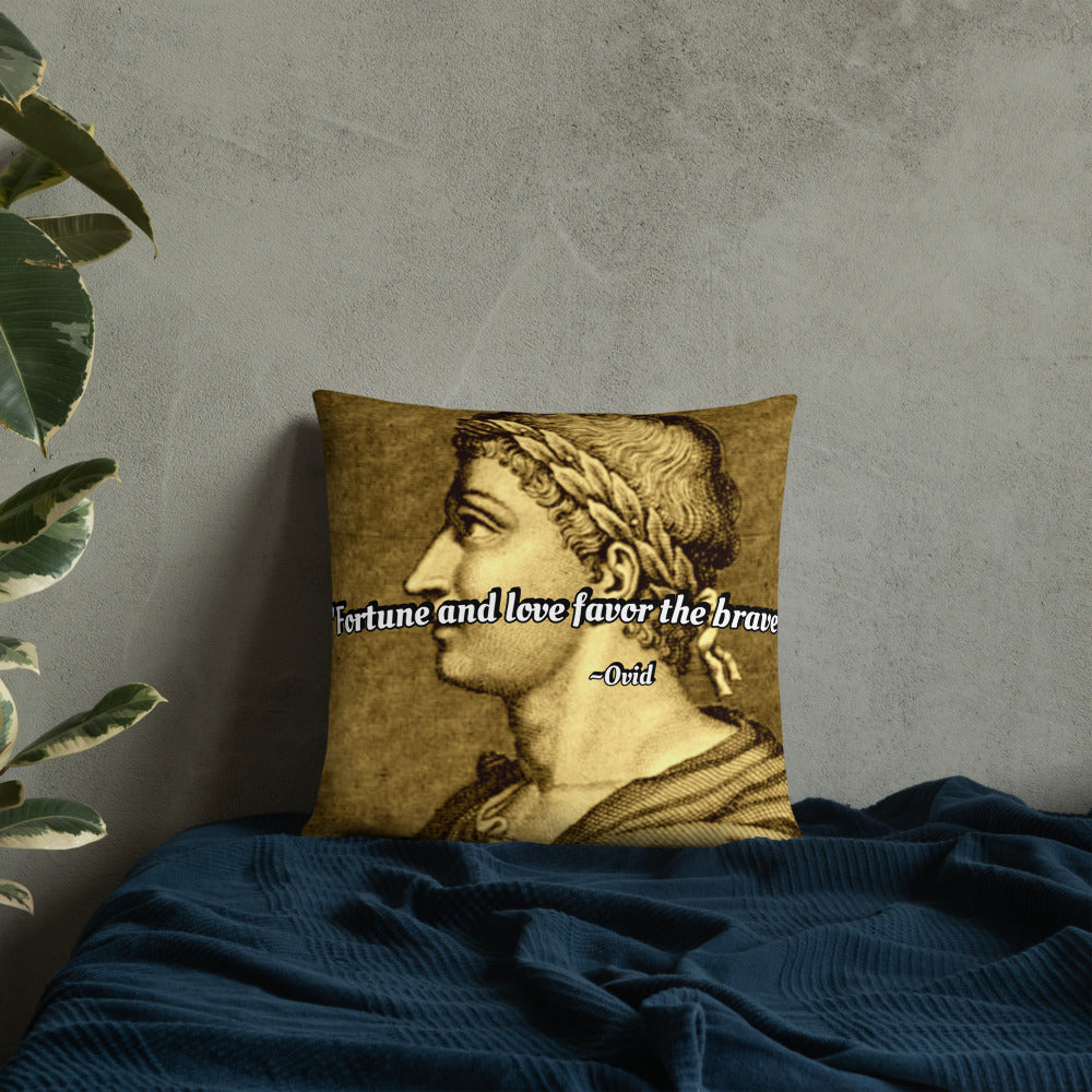 Inspirational Pillow