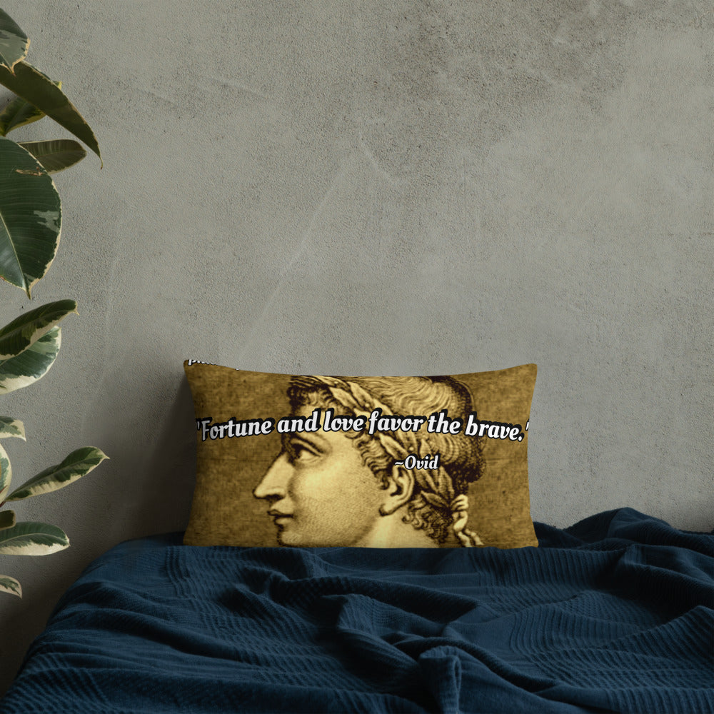 Inspirational Pillow