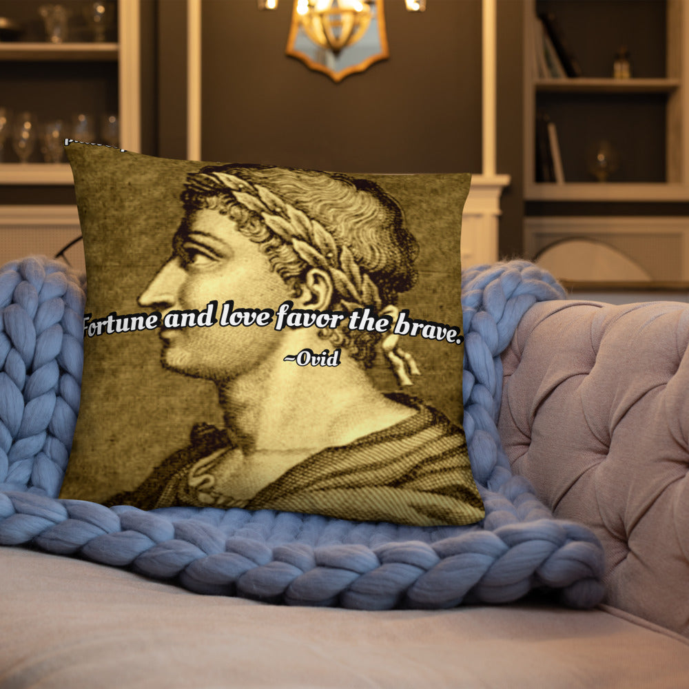 Inspirational Pillow