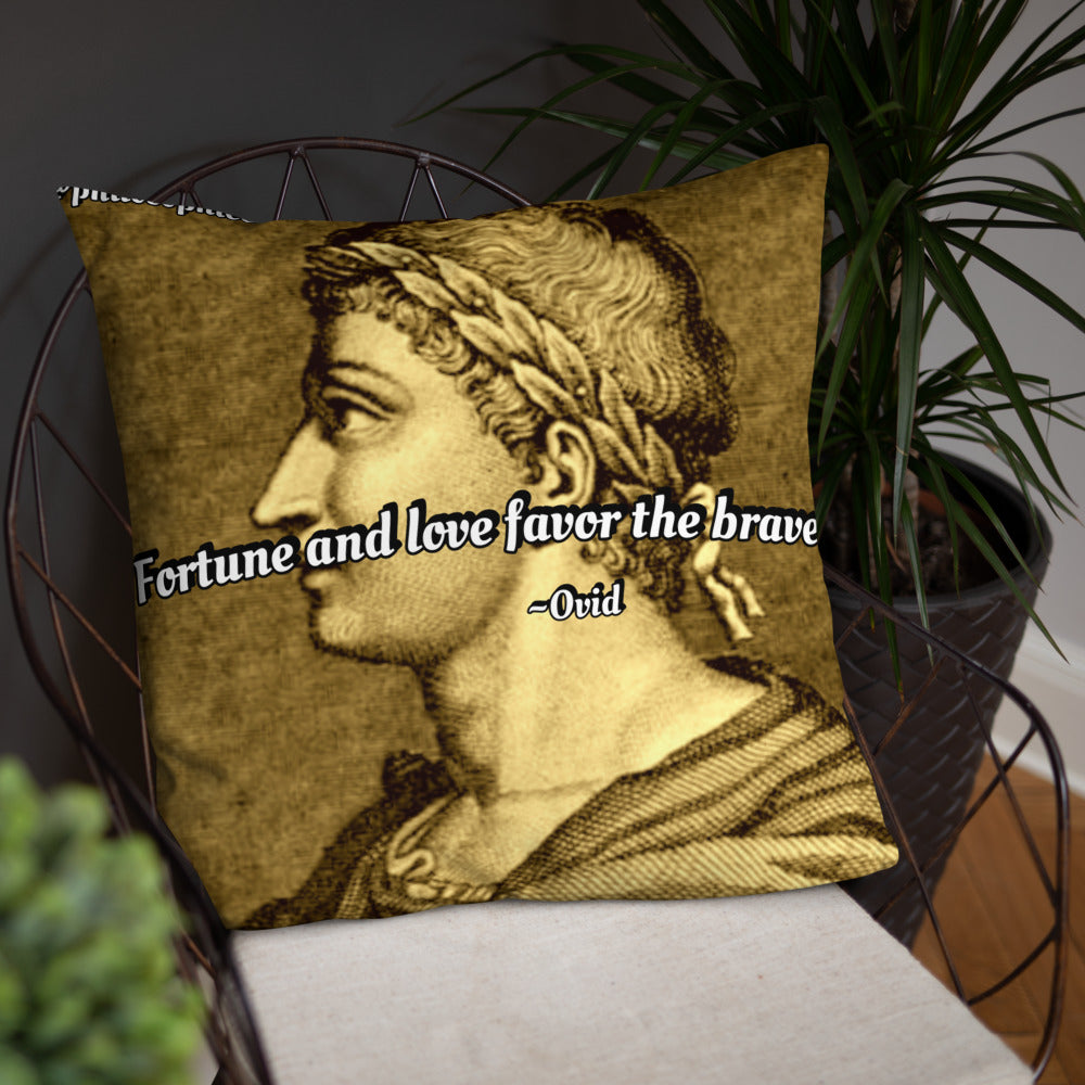 Inspirational Pillow