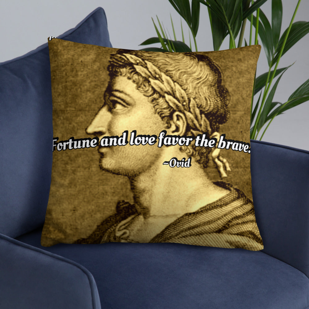 Inspirational Pillow