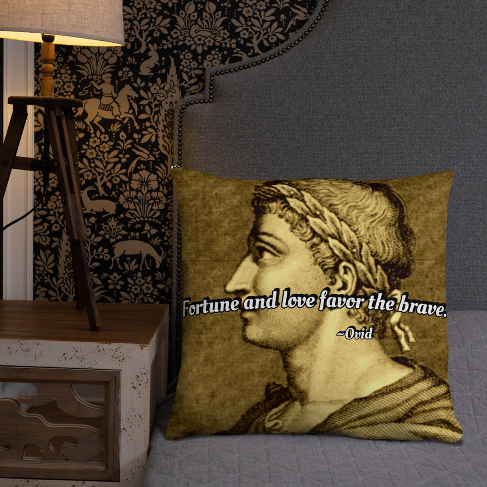 Inspirational Pillow