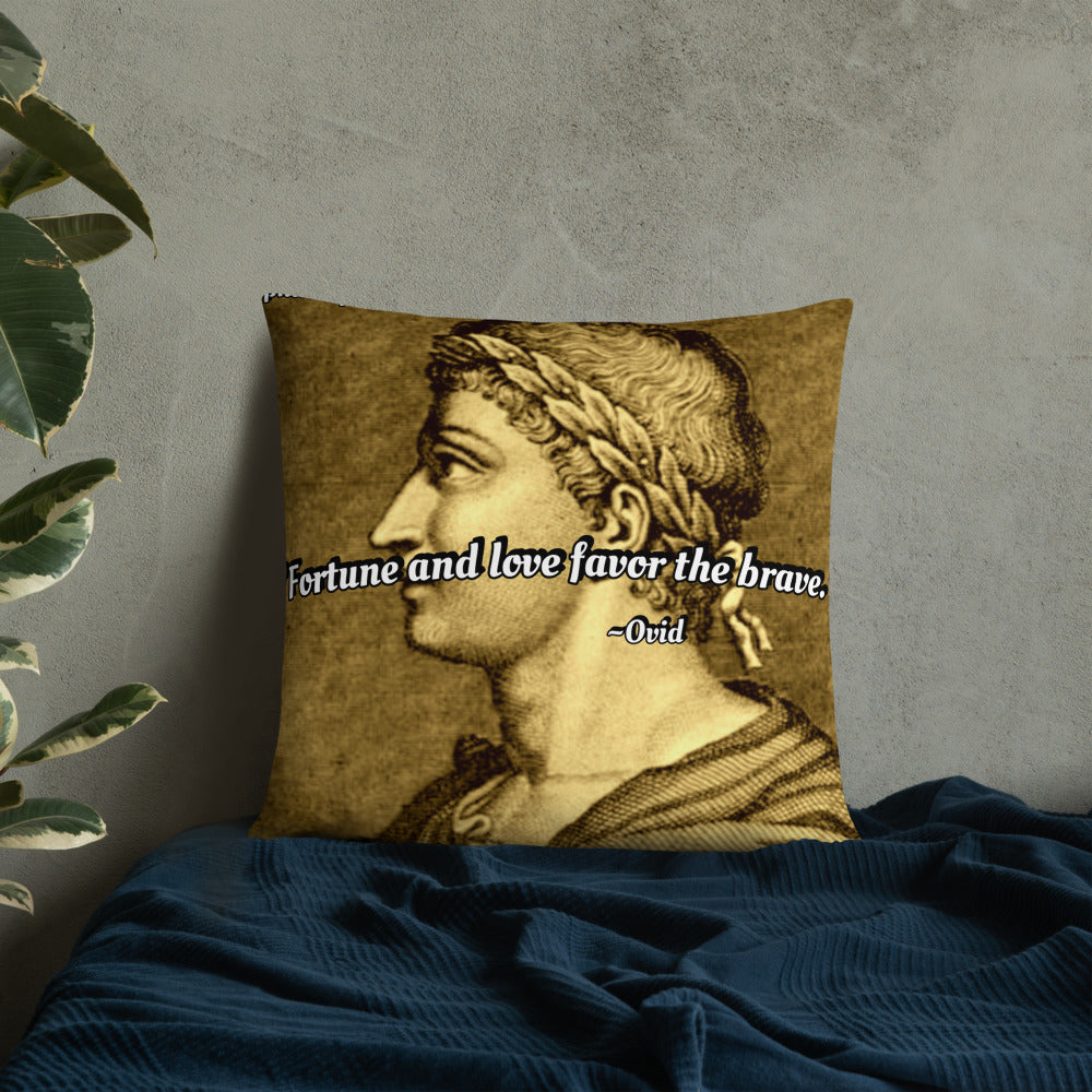 Inspirational Pillow